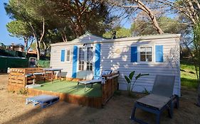 Zaluay - Mobile Homes